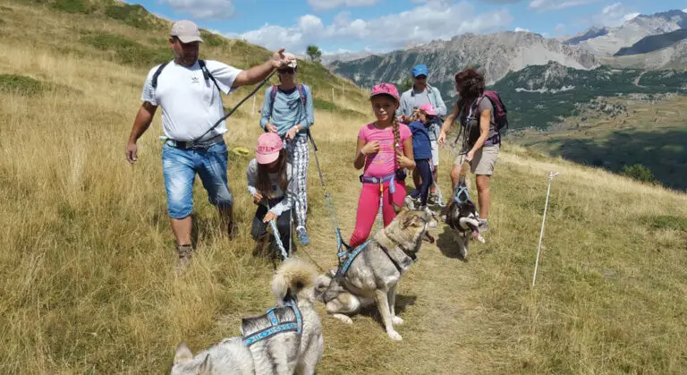 chiens traineaux cani rando vars