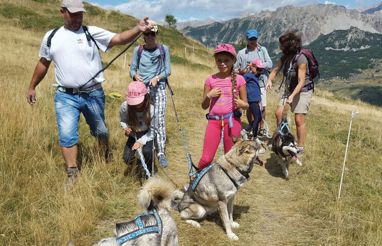 chiens traineaux cani rando vars