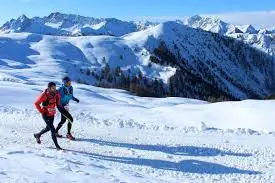 Coureurs en action sur le trail blanc de la Snow Race 2025 au cœur du domaine skiable de Montgenèvre