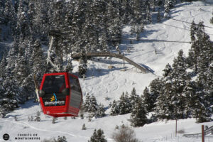 Télécabine du Chalvet à Montgenèvre surplombant les pistes enneigées et la forêt alpine